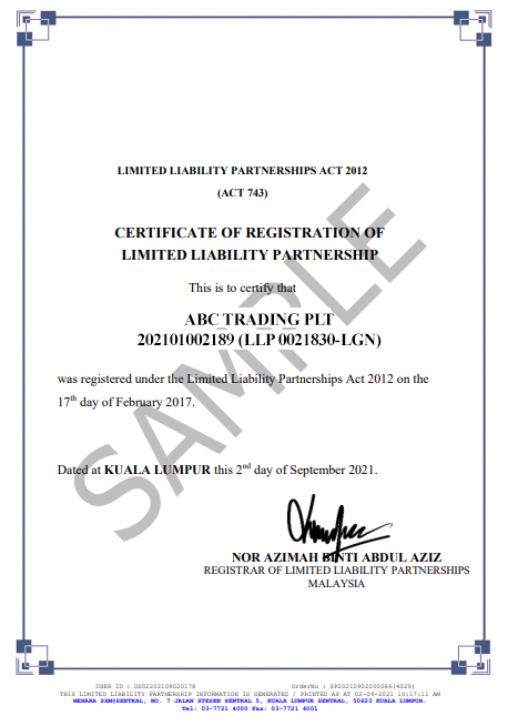 SSM RE PRINT SERVICES For Limited Liability Partnership LLP PLT 